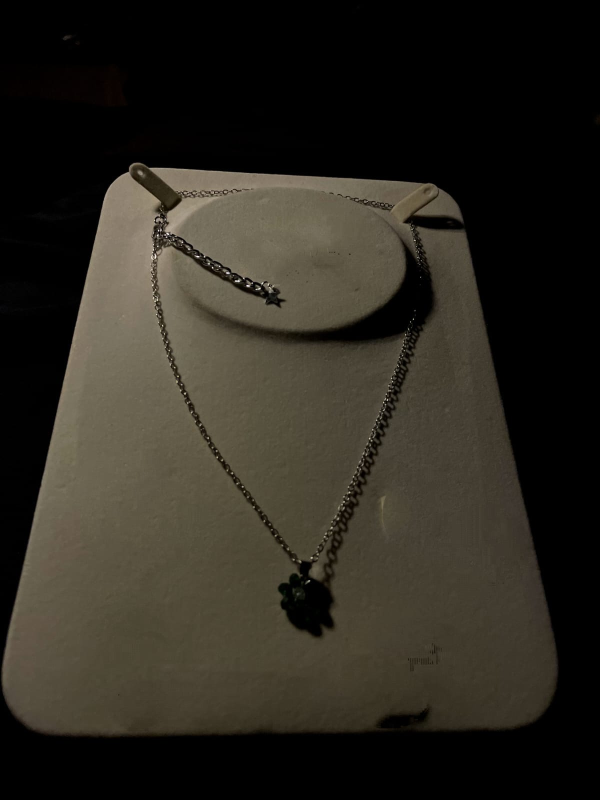 NLFNBSL -02- Silver Flower Necklace